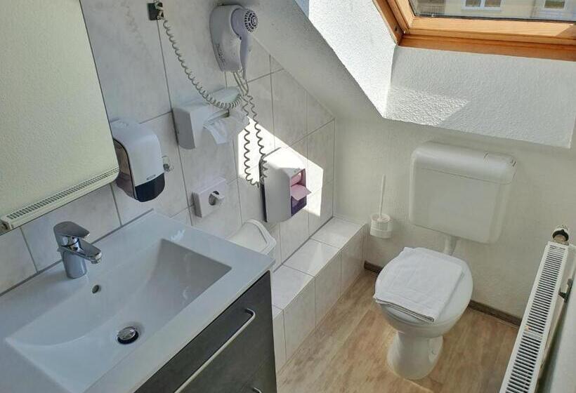 اتاق عادی یک تخته, Aparthotel Marion Weber
