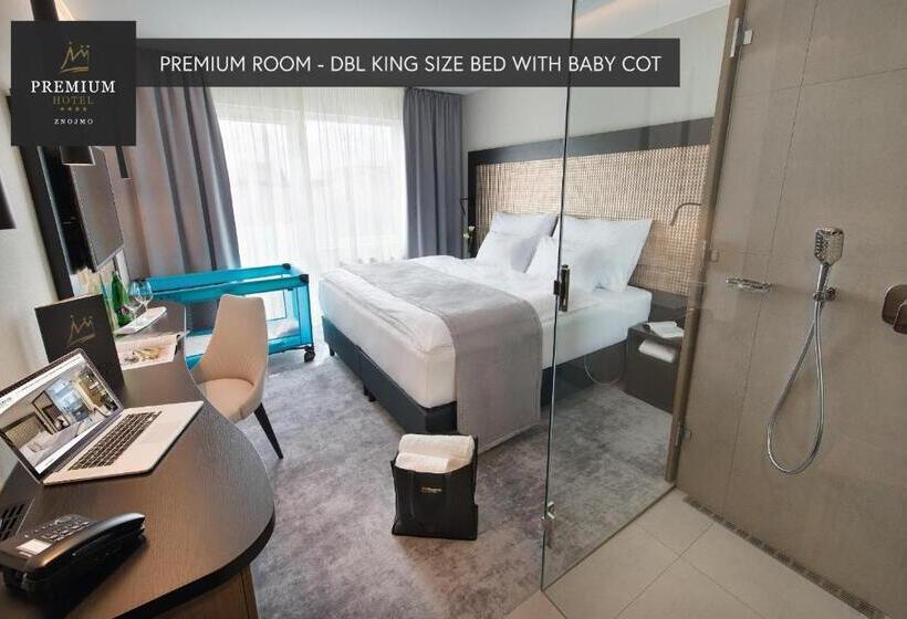 Трежместный Номер Economy, Premium Wellness & Wine Hotel Znojmo