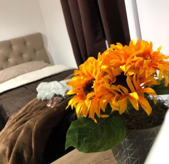 디럭스 룸, Pouso Primavera