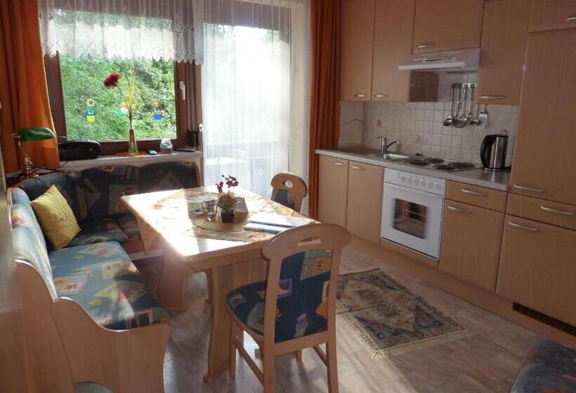Апартаменты 1 Спальня с Террасой, Pension Mühlenheim