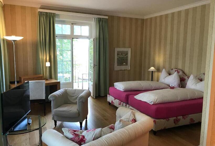 Номер Стандарт, Parkforum Wylihof