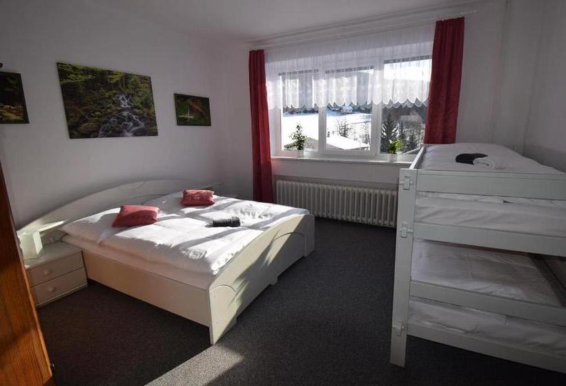 Четырехместный Номер Стандарт, Pension St. Moritz
