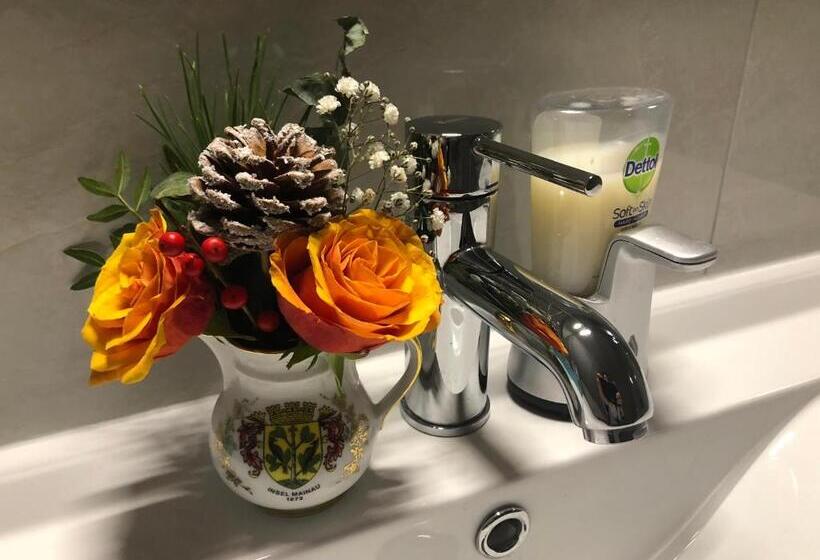 스탠다드 룸 가든 전망, B&b Nancy In Holland