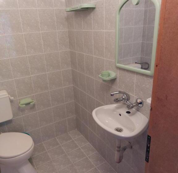 آپارتمان 1 خوابه با بالکن, Guest House   Viktor