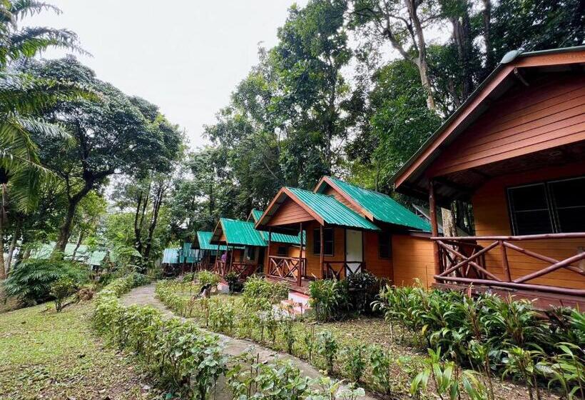 Бунгало Стандарт, Dream Valley Resort, Tonsai Beach
