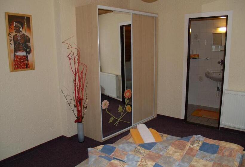 Номер Стандарт, Pension Erika