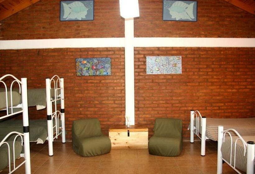 공동 객실, Hostel Bahía Ballenas