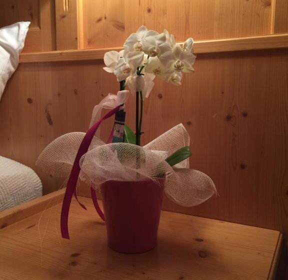 سوییت خانوادگی, Villa Verde B&b
