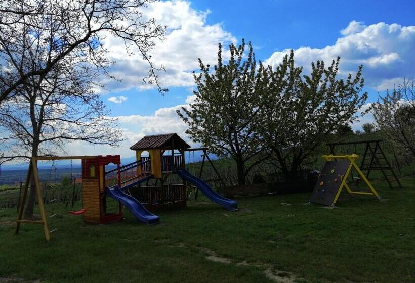 آپارتمان 1 خوابه با تراس, Guesthouse Prenočišča širec