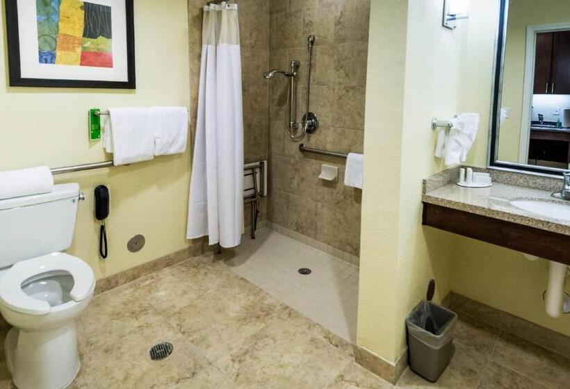Студио Стандарт Кровать Кинг, Towneplace Suites By Marriott El Paso Airport
