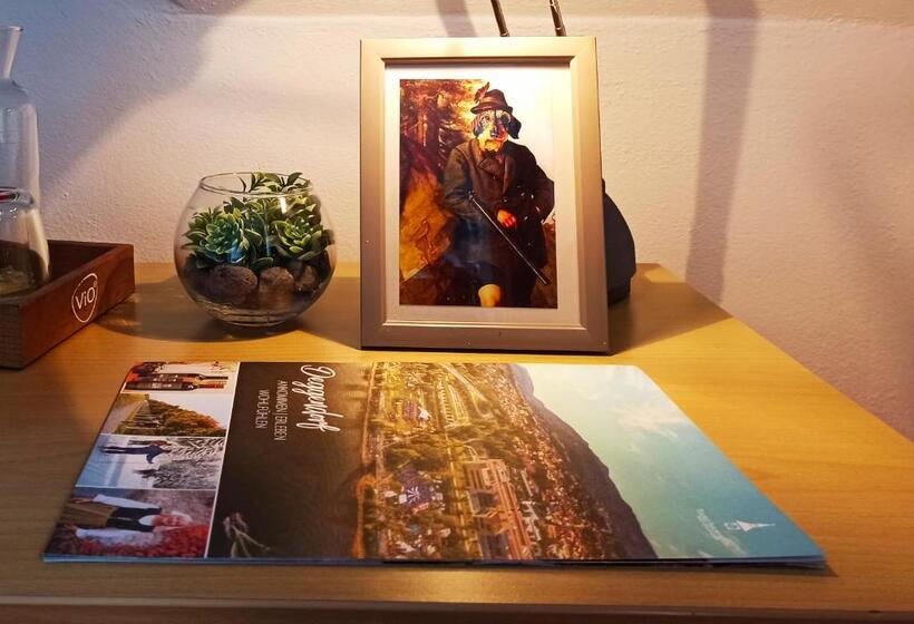 Номер Стандарт Индивидуальный, Stadthotel Deggendorf
