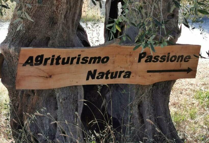 Трехместный Номер Стандарт Вид на Бассейн, Agriturismo Passione Natura