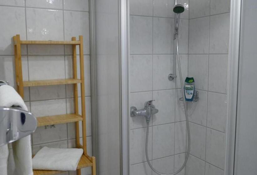 Апартаменты 1 Спальня, Pension & Ferienwohnungen Haus Edelweiß