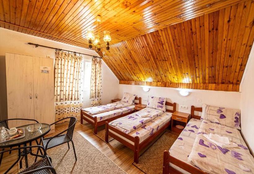 اتاق استاندارد سه تخته با سرویس بهداشتی مشترک, Snam Rooms&apartment
