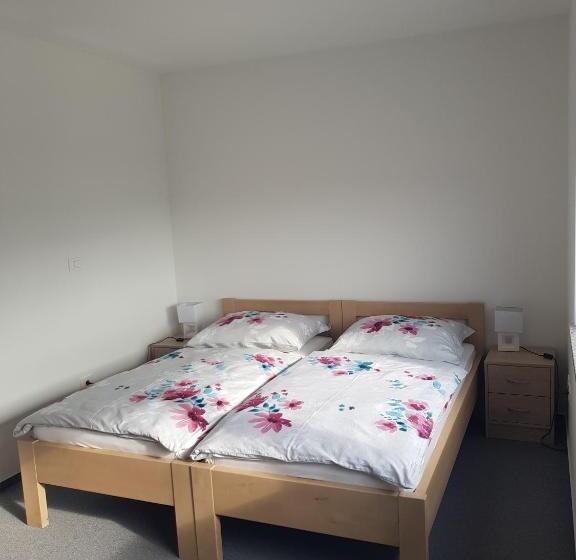 آپارتمان 1 خوابه, Apartmaji Janković