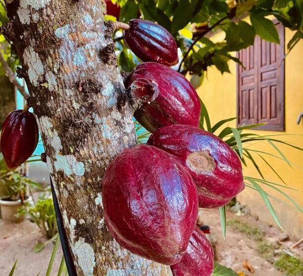 Люкс с Балконом, Caraiva Recanto Pousada De Ferias