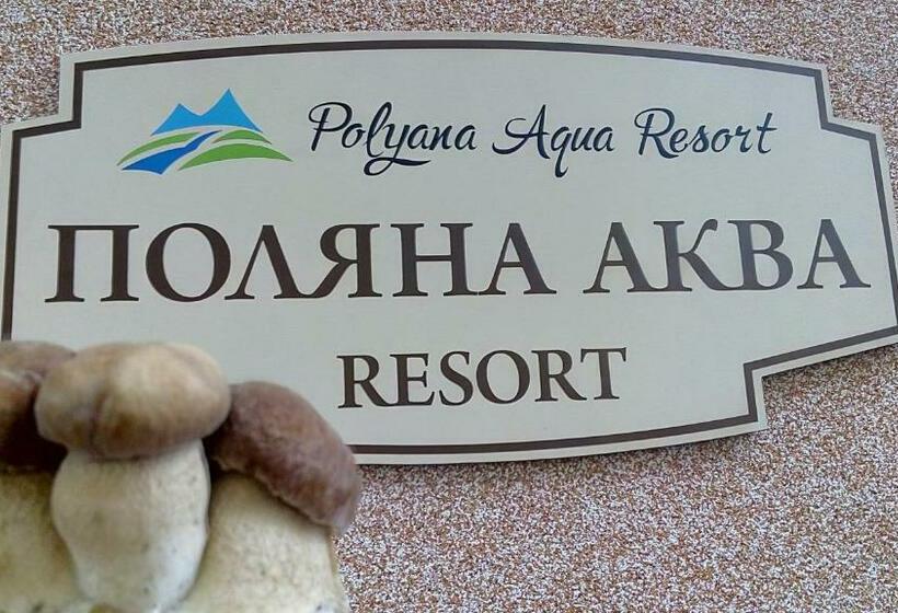 آپارتمان 1 خوابه با بالکن, поляна аква резорт