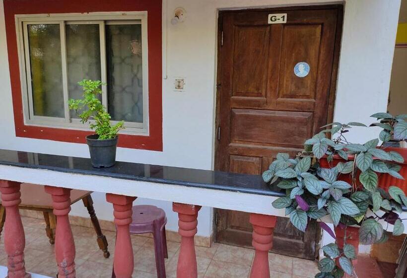 经济房, Casa De Olga