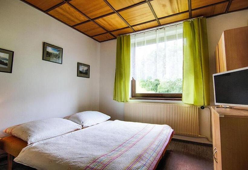 Студио Стандарт с Балконом, Penzion Daniela