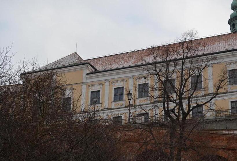 Стандартный Номер Кровать Кинг, Penzion U žabáka