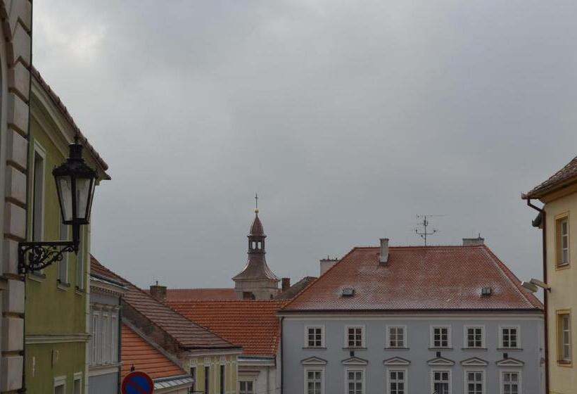 Standard Szoba King Size Bed, Penzion U žabáka
