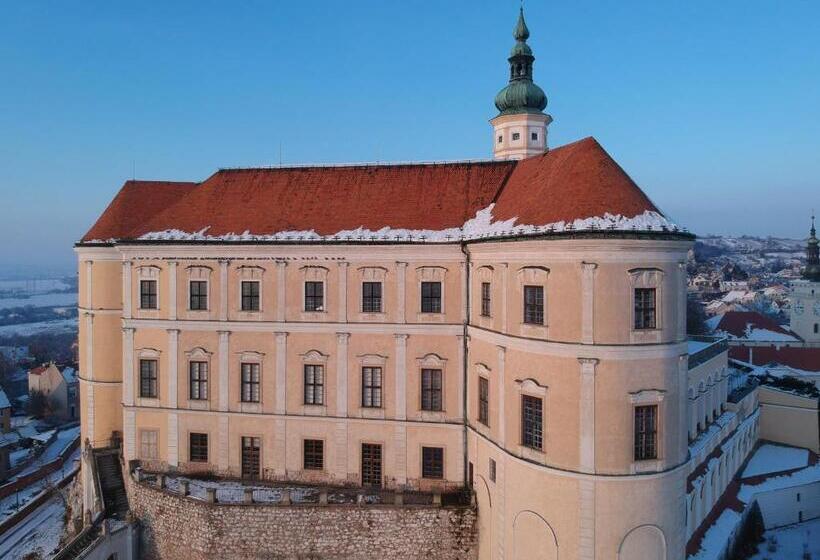 Standard Szoba King Size Bed, Penzion U žabáka