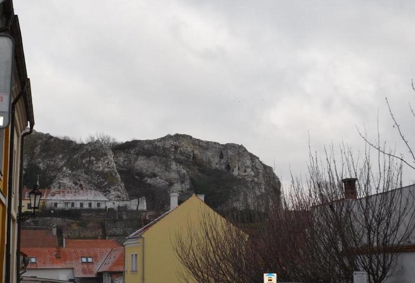 Стандартный Номер Кровать Кинг, Penzion U žabáka