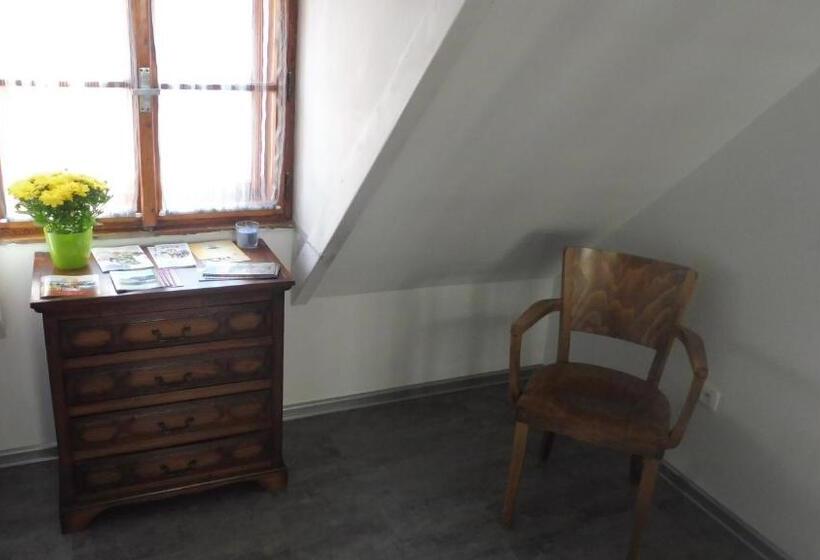 Standard Szoba King Size Bed, Penzion U žabáka