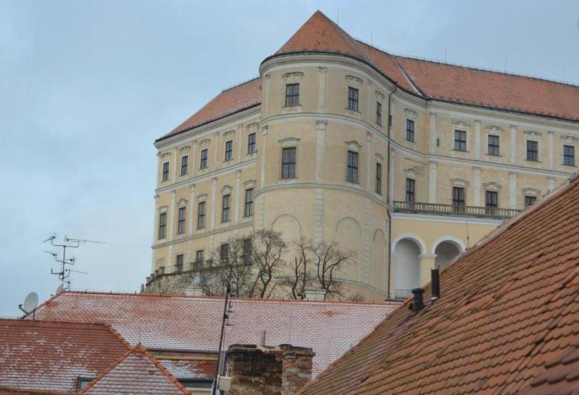 Family Suite, Penzion U žabáka