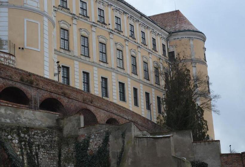 Апартаменты 1 Спальня, Penzion U žabáka
