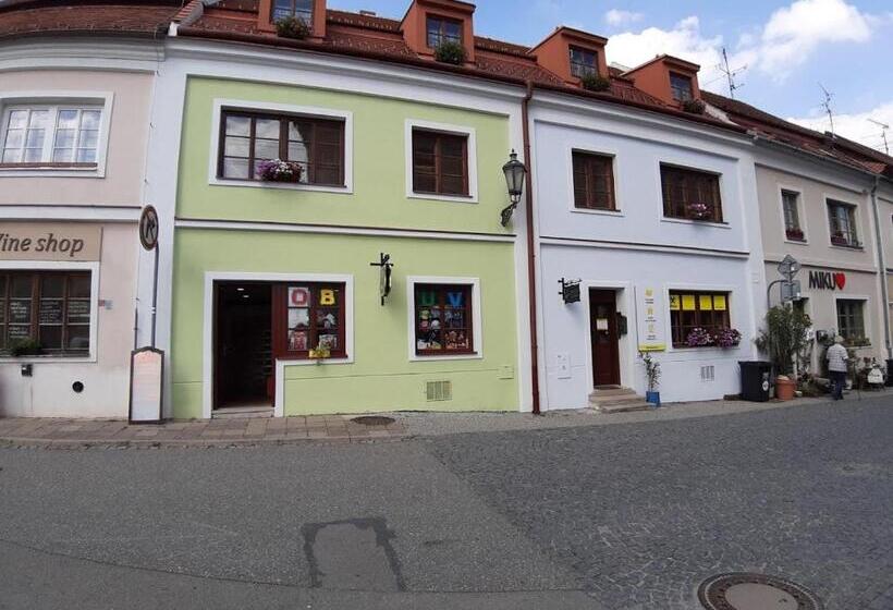 Family Suite, Penzion U žabáka