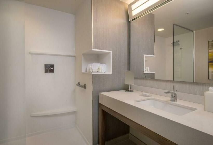 스탠다드 룸 킹사이즈 침대, Courtyard By Marriott Mexicali