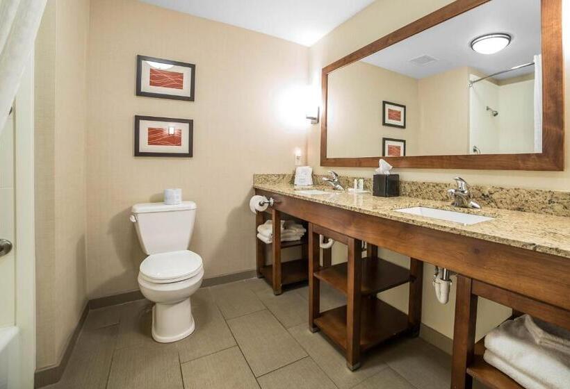 Люкс Кровать Кинг, Comfort Suites Moab Near Arches National Park
