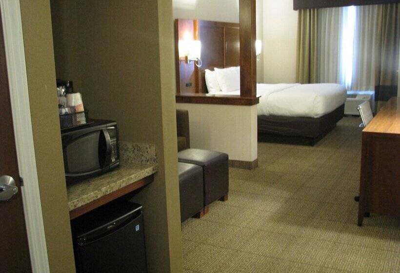 Люкс Адаптированный для Инвалидов, Comfort Suites Moab Near Arches National Park