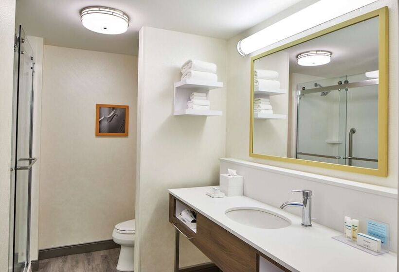 اتاق استاندارد با 2 تخت دوبل, Hampton Inn & Suites Atlanta Midtown