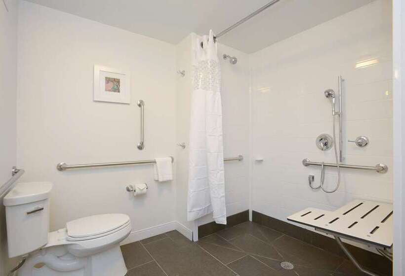 اتاق استاندارد, Hampton Inn & Suites Atlanta Midtown