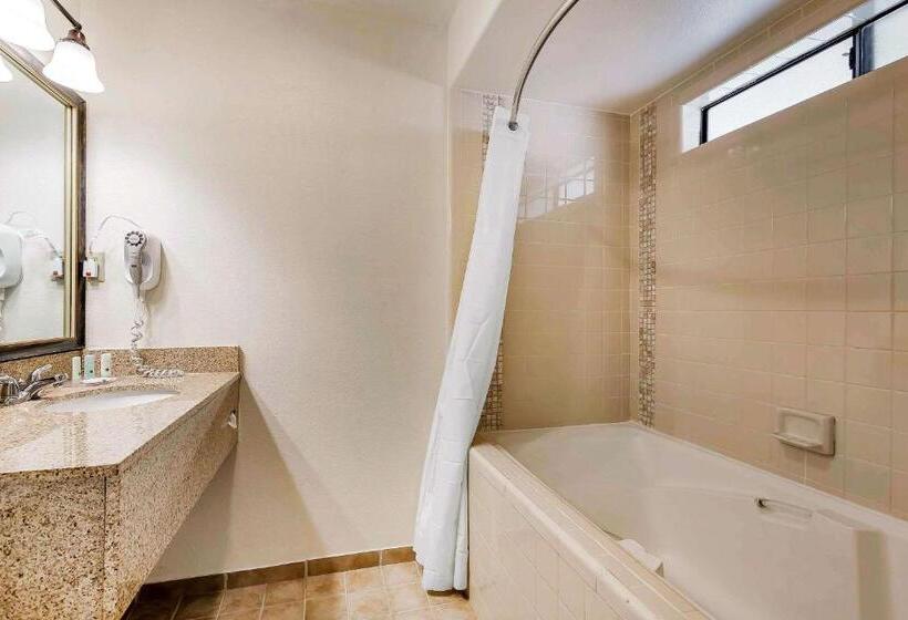 스탠다드 룸 킹사이즈 침대, Quality Inn Fallbrook I 15