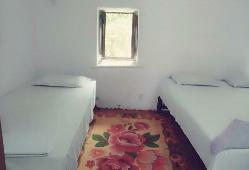 Трехместный Номер Стандарт Вид на Сад, Haveli Uma Megh Tourist Guest House