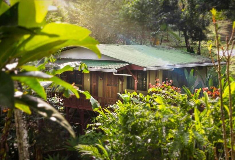 غرفة قياسية, Rancho Corcovado