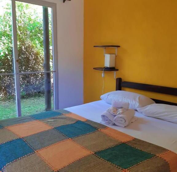 스탠다드 룸, Viajero La Pedrera Hostel