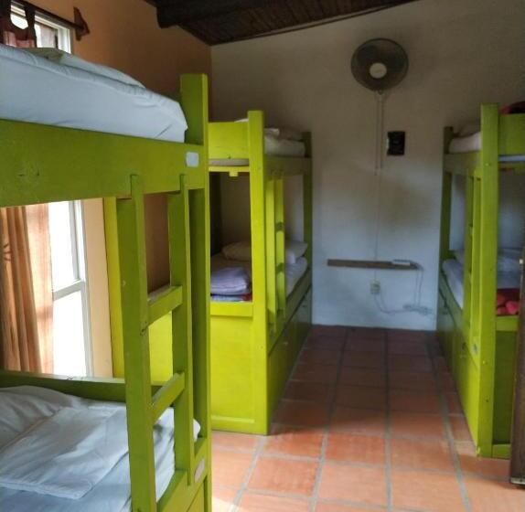공동 객실, Viajero La Pedrera Hostel