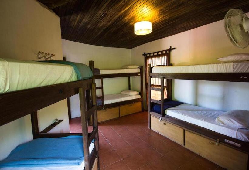 ルームシェアのワンベッド, Viajero La Pedrera Hostel