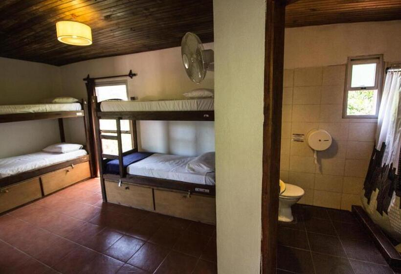 공동 객실, Viajero La Pedrera Hostel