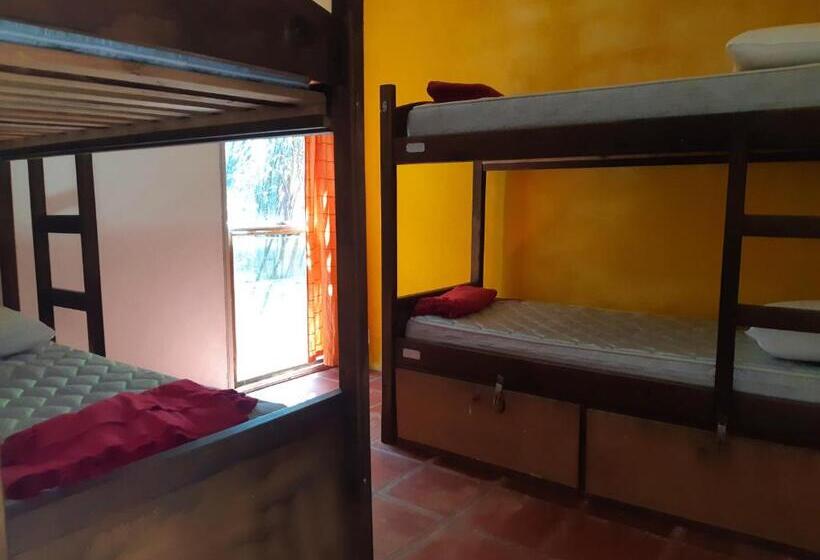 ルームシェアのワンベッド, Viajero La Pedrera Hostel