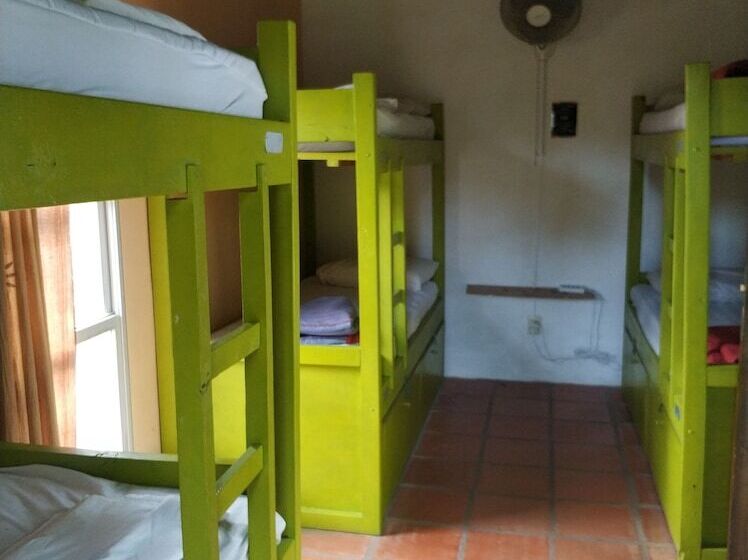 공용 욕실 구비 공동 객실 내의 침대, Viajero La Pedrera Hostel