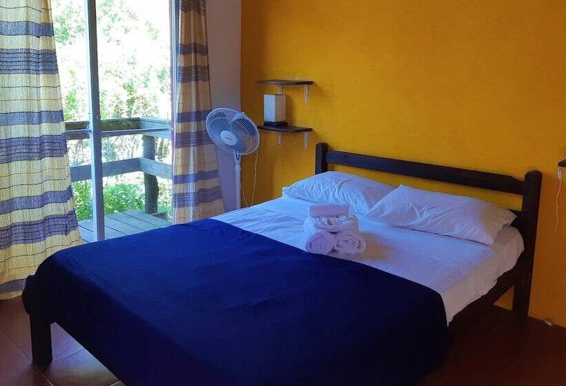 스탠다드 싱글 룸, Viajero La Pedrera Hostel