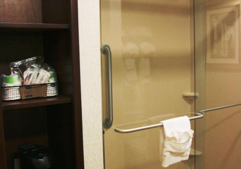 스탠다드 룸 킹사이즈 침대, Hampton Inn & Suites West Point