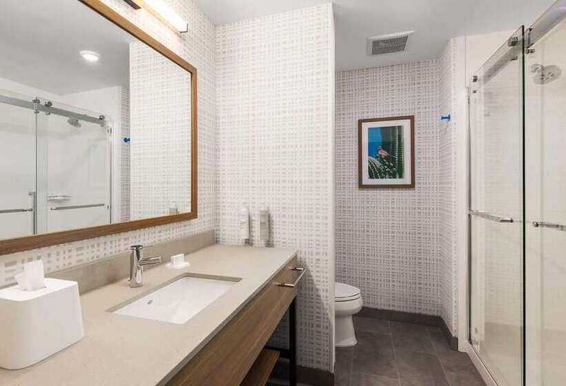 استودیو استاندارد با تخت کینگ, Homewood Suites by Hilton Chicago Downtown / Magnificent Mile
