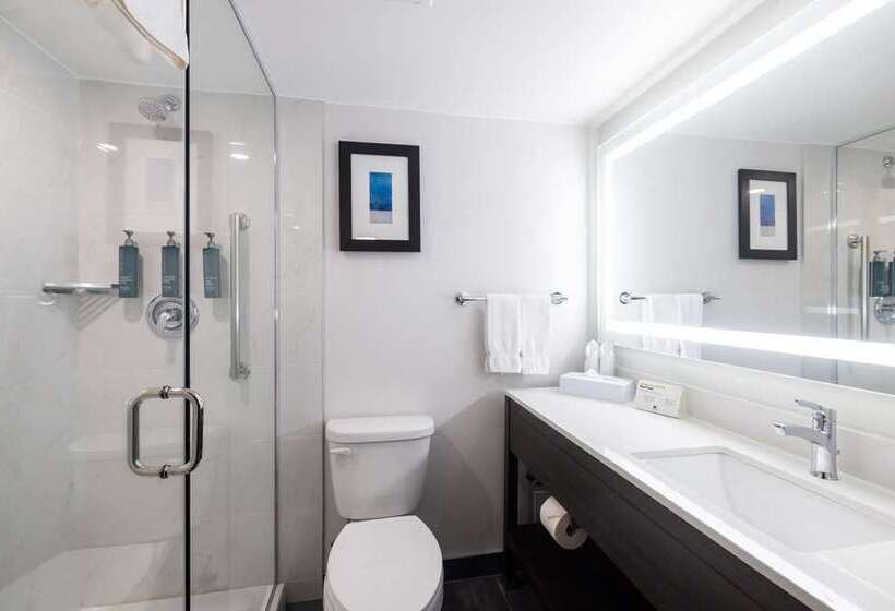سوئیت با تخت بزرگ, Homewood Suites by Hilton Chicago Downtown / Magnificent Mile