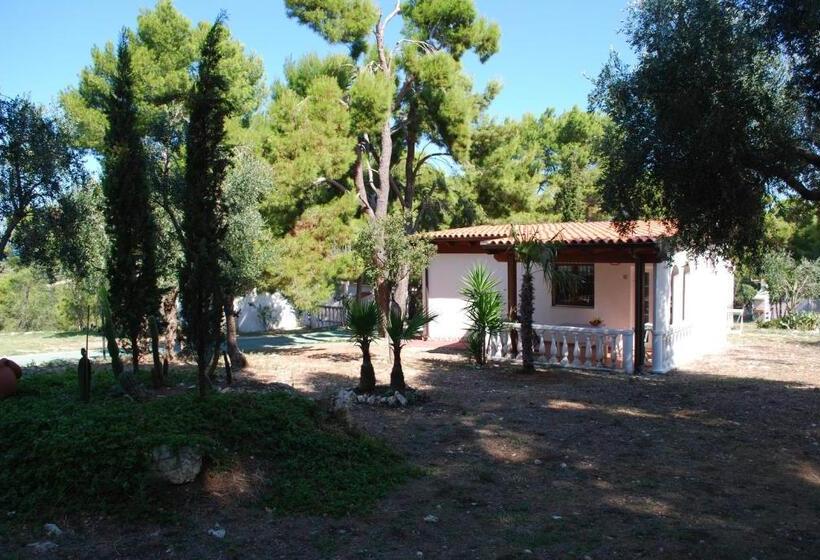 Студия Стандарт, Residence Emarine